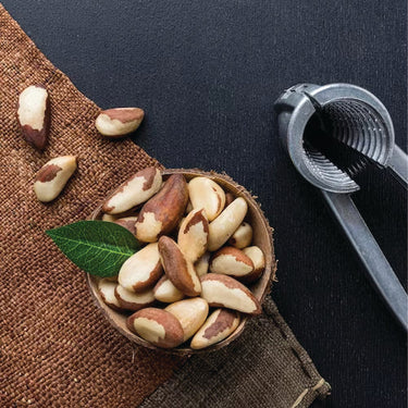 South American Brazil Nuts